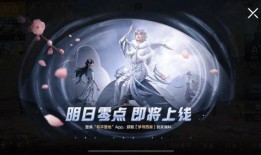 吃鸡人物皮肤爆料最新版,最新版神秘皮肤大揭秘！